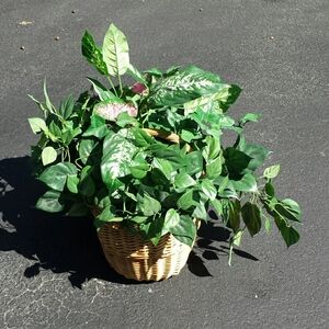 Faux plants in a wicker basket
